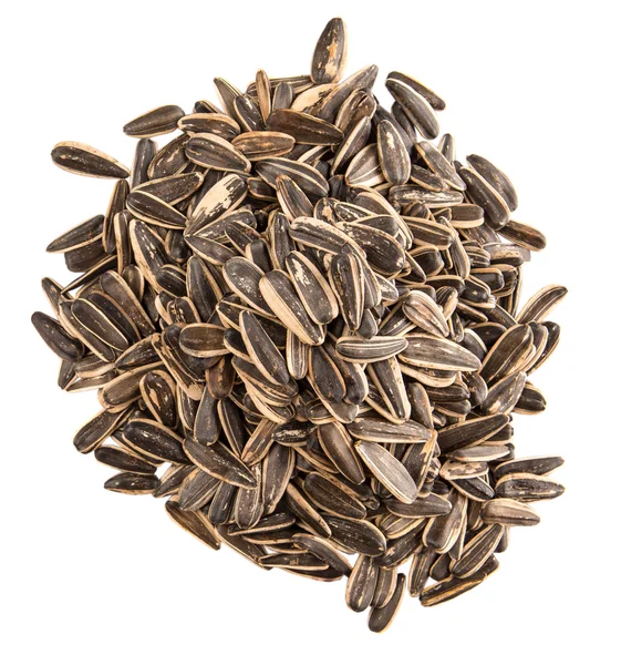 Sunflower Seeds — Stock Photo, Image