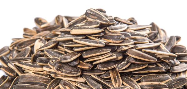 Sunflower Seeds — Stock Photo, Image