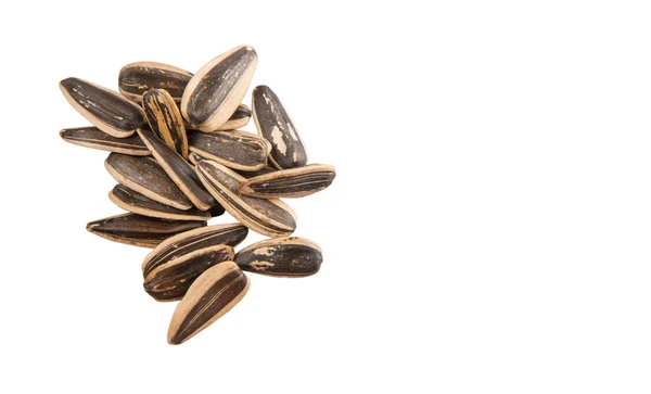 Sunflower Seeds White Background — Stock Photo, Image