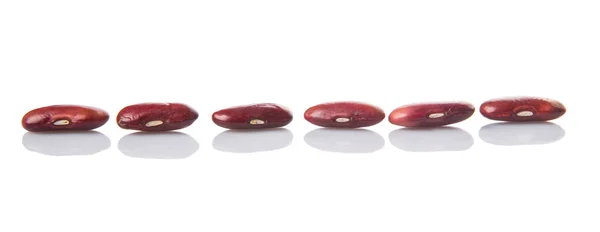 Red Kidney Beans — Stock Photo, Image