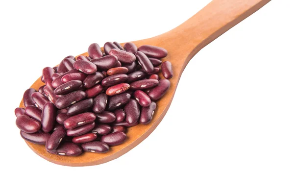 Frijoles rojos — Foto de Stock