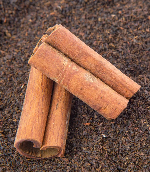 Pau de canela em folhas de chá secas — Fotografia de Stock
