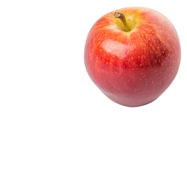 Manzana de gala real — Foto de Stock