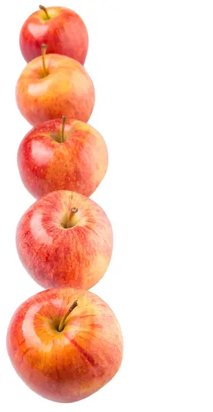 Kraliyet gala elması — Stok fotoğraf