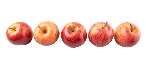 Jabłko Królewskie Gali Białym Tle — Zdjęcie stockowe