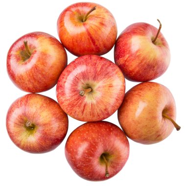 kraliyet gala elması