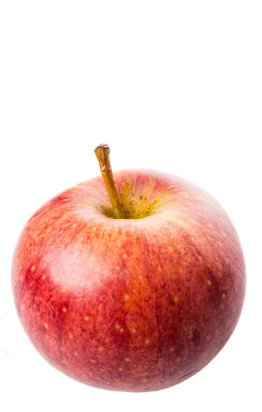 Koninklijke gala apple — Stockfoto