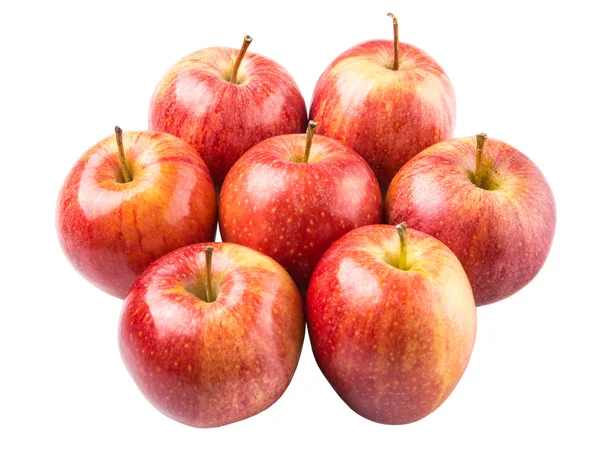 Royal Gala Apple — Stock Photo, Image