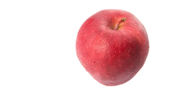 Färskt rött äpple — Stockfoto