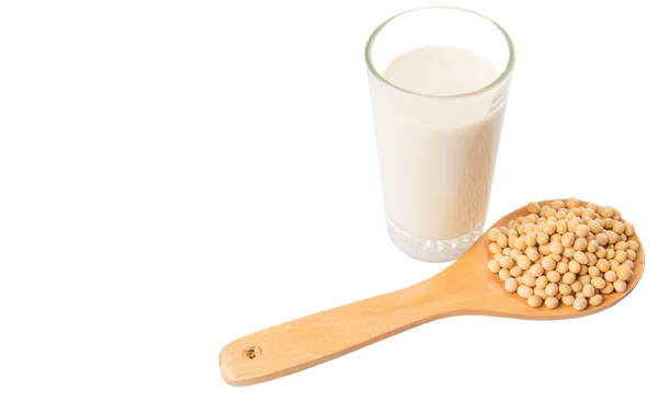 Soybean And Soybean Milk — Stock Photo, Image