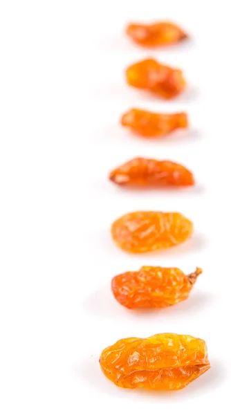 乾燥されたオレンジ色のレーズン — ストック写真