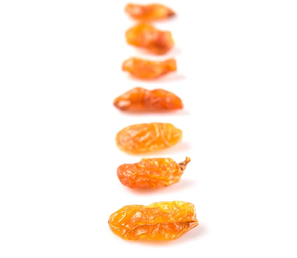 Dried Orange Colored Raisin — Stock Photo, Image