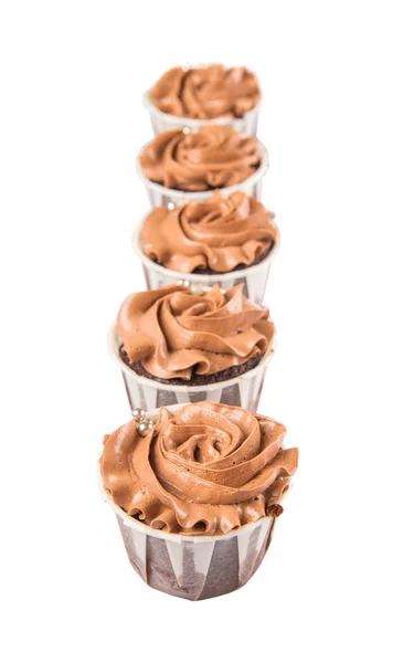 Cupcakes de chocolate — Fotografia de Stock