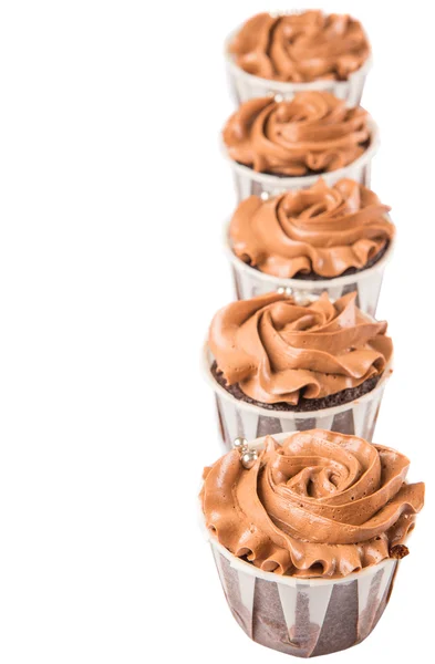 Chocolate Cupcakes — Stock Photo, Image