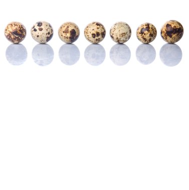 bıldırcın yumurtası beyaz zemin üzerine