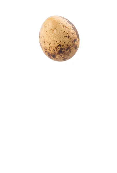 Quail Eggs White Background — Stock Photo, Image