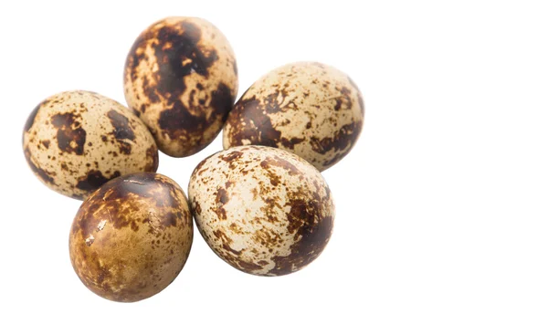 Quail Eggs White Background — Stock Photo, Image