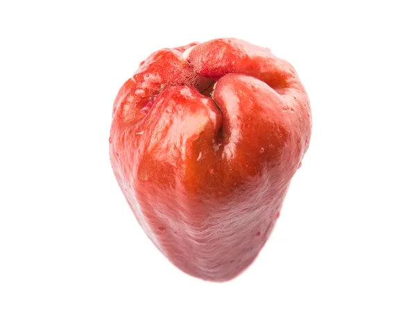 Rose Apple Fruit — Stock Photo, Image