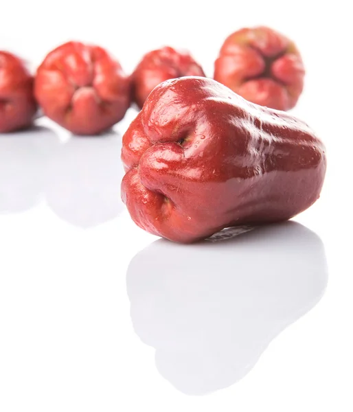 Rosenapfelfrüchte — Stockfoto