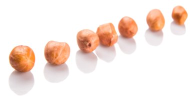 Yer fıstığı veya fıstık