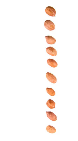 Erdnüsse oder Erdnüsse — Stockfoto