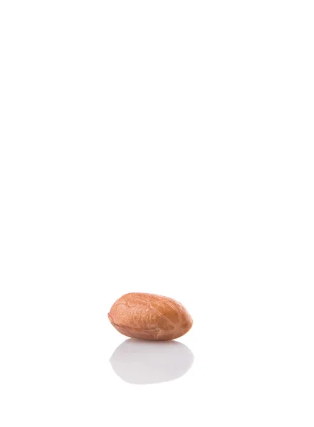 Грунтовые орехи или арахис — стоковое фото