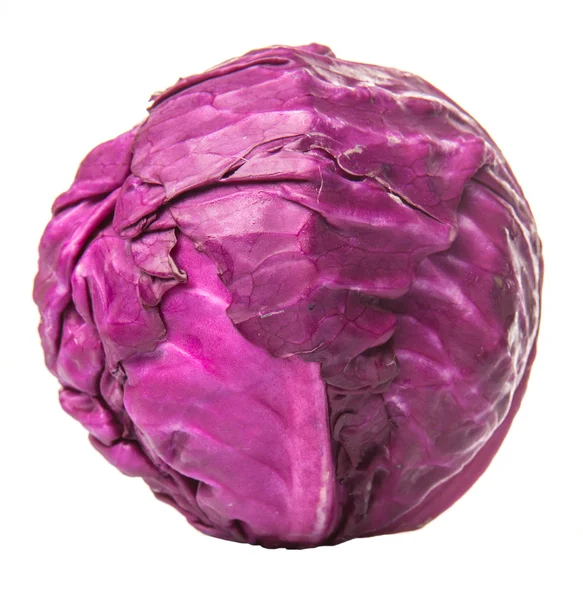 Red Cabbage Vegetable — Stock Photo, Image