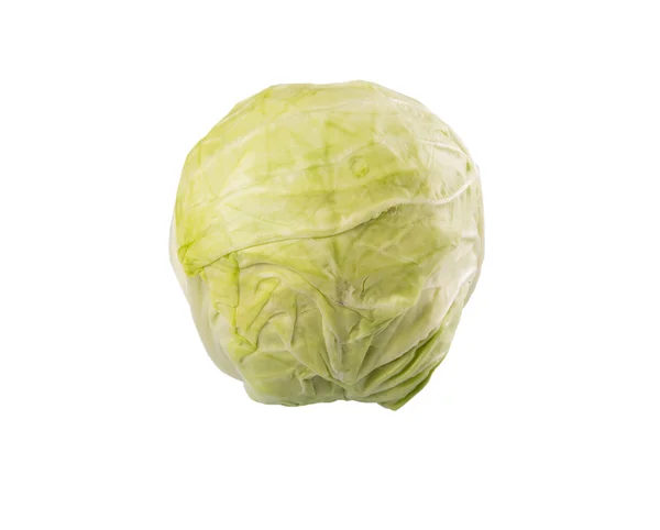 Green Cabbage Vegetable — Stock Photo, Image
