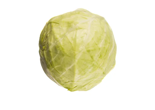 Green Cabbage White Background — Stock Photo, Image