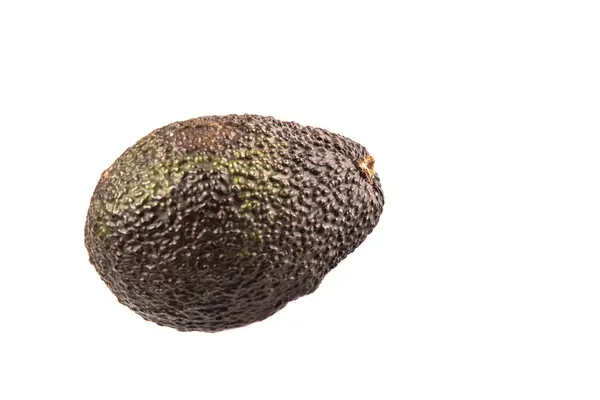Avokado frukt — Stockfoto