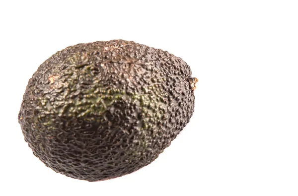 Avokado frukt — Stockfoto