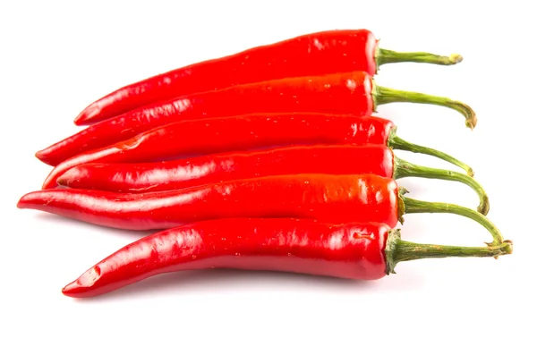 Röd chilipeppar — Stockfoto