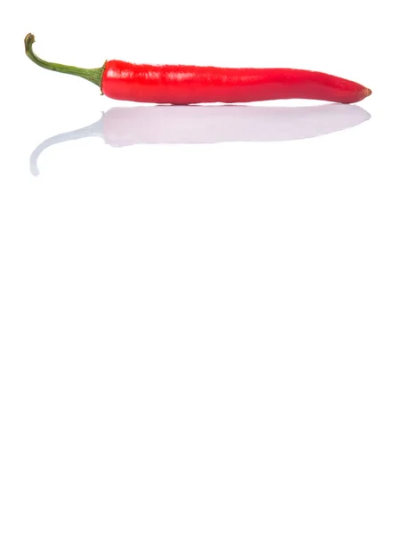 Röd chilipeppar — Stockfoto