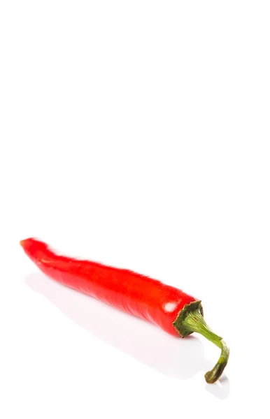 Röd chilipeppar — Stockfoto