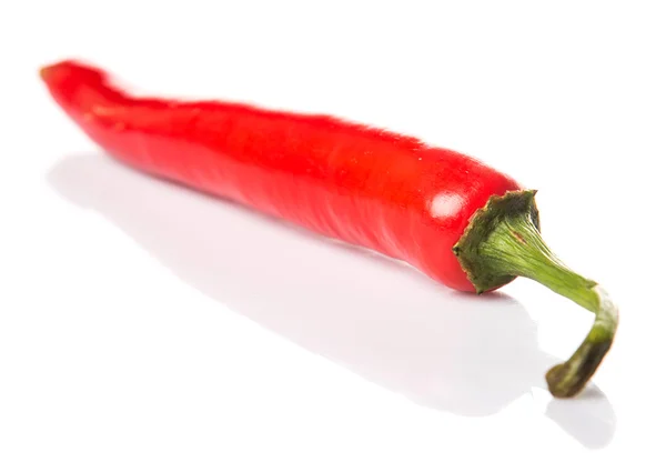 Röd chilipeppar — Stockfoto