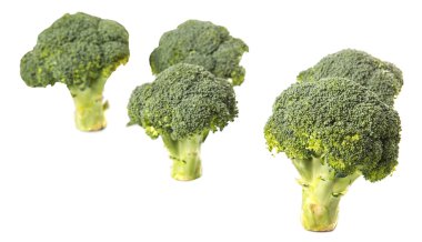 Brokoli sebze