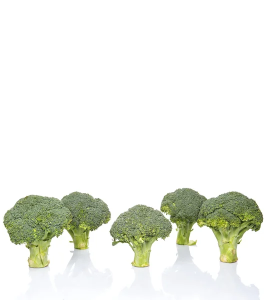 Warzyw Brokuły Białym Tle — Zdjęcie stockowe