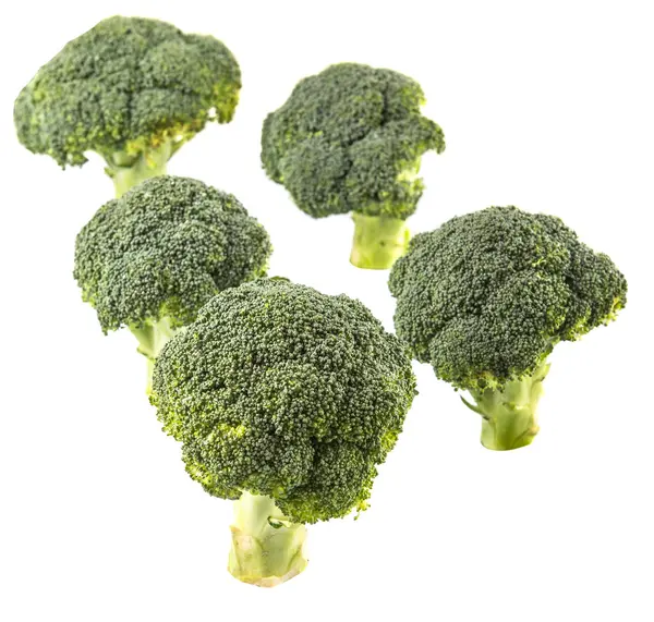 Broccoli Vegetable — Stock Photo, Image