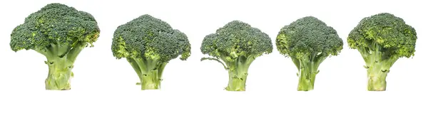 Broccoli Vegetable White Background — Stock Photo, Image