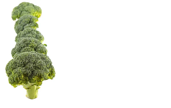 Broccoli Vegetable — Stock Photo, Image