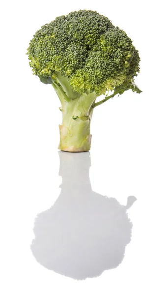 Broccoli Vegetable — Stock Photo, Image