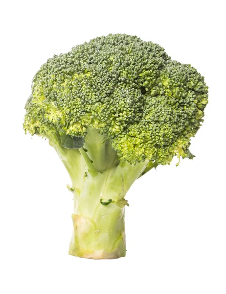 Broccoli Vegetable — Stock Photo, Image