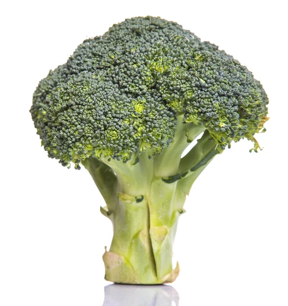 Broccoli Vegetable White Background — Stock Photo, Image