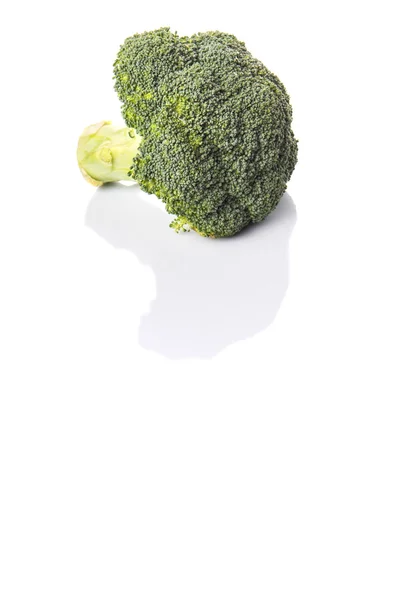 Broccoli Vegetable White Background — Stock Photo, Image