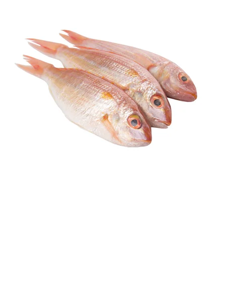 Peixe vermelho cru — Fotografia de Stock