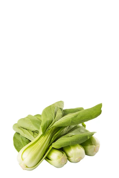 Repolho Chinês Bok Choy Sobre Fundo Branco — Fotografia de Stock