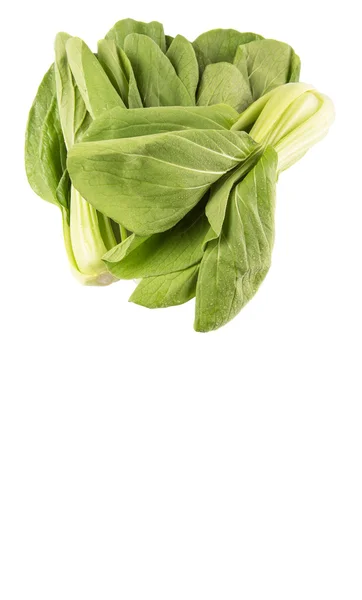 Chinese Cabbage Or Bok Choy — Stock Photo, Image