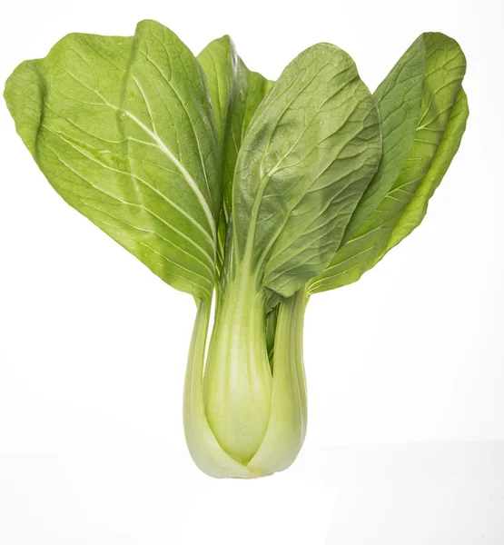 Chinese Cabbage Or Bok Choy — Stock Photo, Image