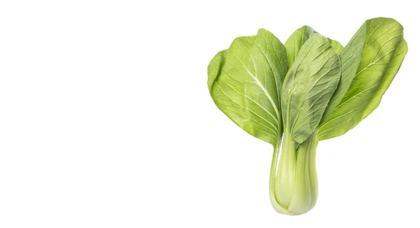 Kinesisk Kål Eller Bok Choy Över Vit Bakgrund — Stockfoto