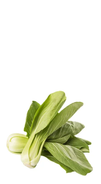 Chinese Kool Bok Choy Witte Achtergrond — Stockfoto